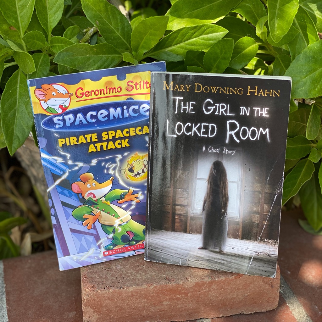 Books Bundle